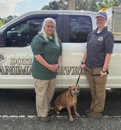 Renee Skipper and a staffer with a dog beside a Dothan Animal Shelter vehicle